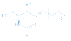 Chemical-Reaction Cerave